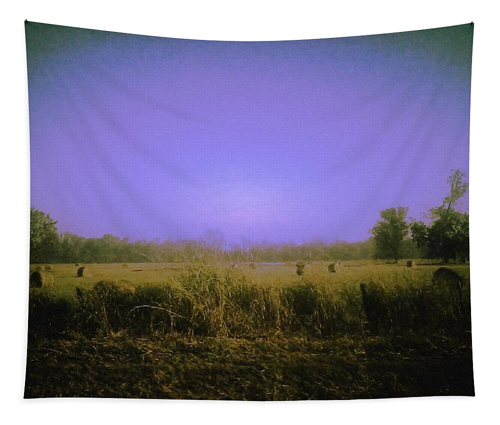 Louisiana Tapestry featuring the photograph Louisiana Pastoria by Carol Oufnac Mahan