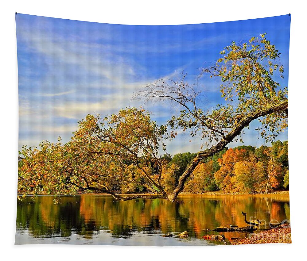Branch Tapestry featuring the photograph Low Branch Hanging by Beth Myer Photography
