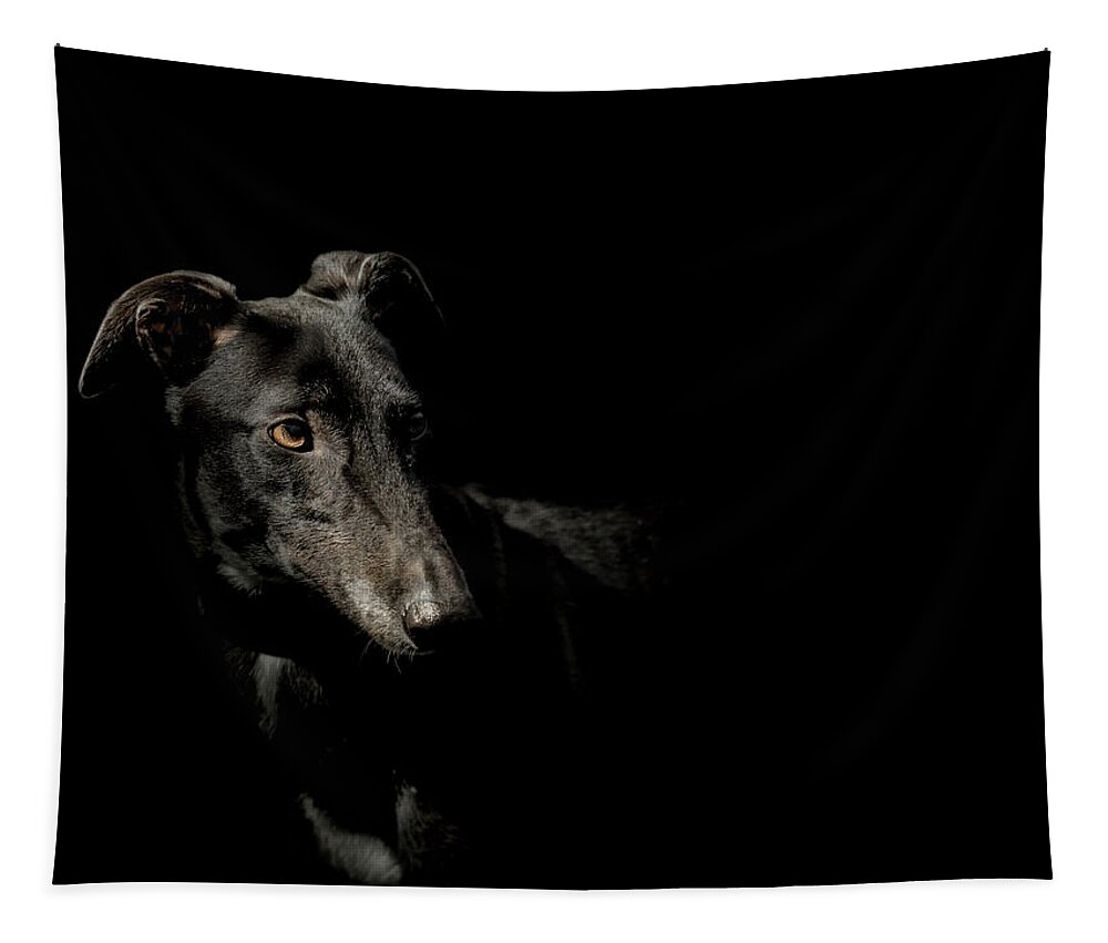 Dog Tapestry featuring the photograph Loyalty by Paul Neville