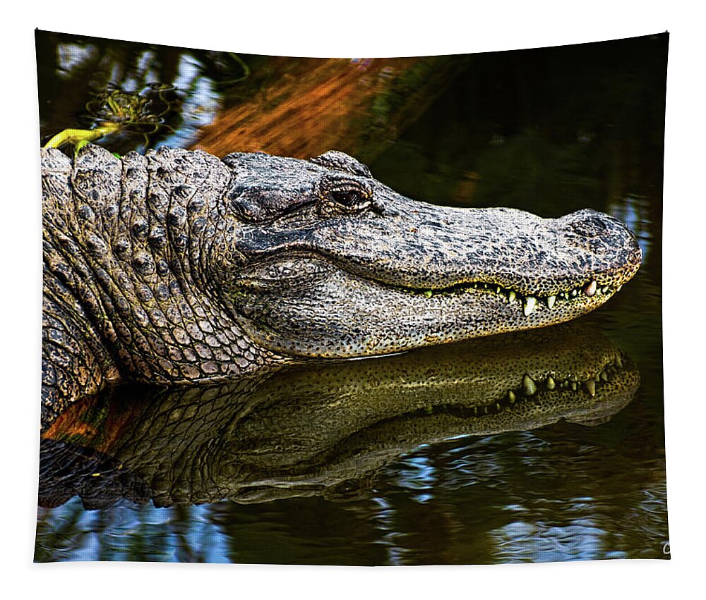 Alligator Tapestry featuring the photograph Lump On A Log by Christopher Holmes