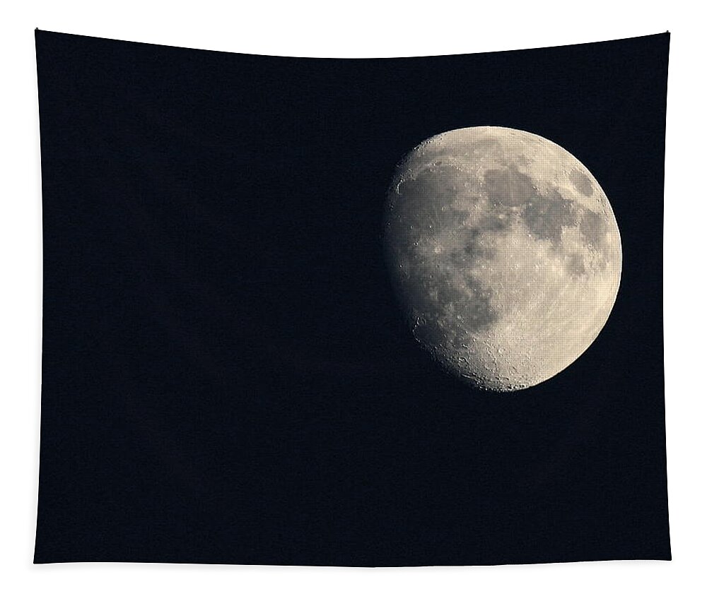 Moon Tapestry featuring the photograph Lunar Surface by Angela Rath