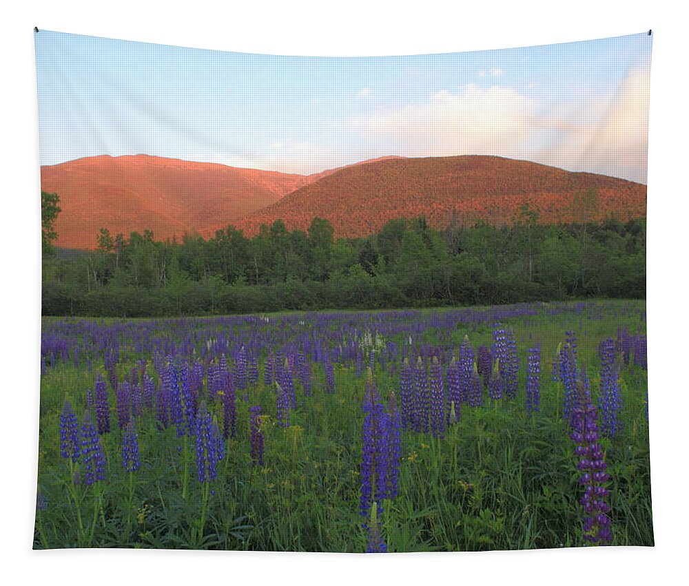 White Mountains Tapestry featuring the photograph Lupine Meadow and Northern Presidentials White Mountains by John Burk