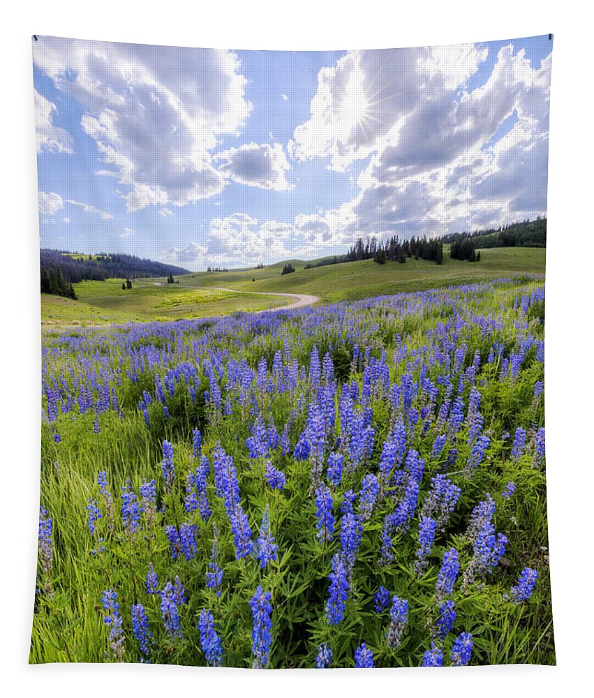 Lupine Pass Tapestry featuring the photograph Lupine Pass by Chad Dutson