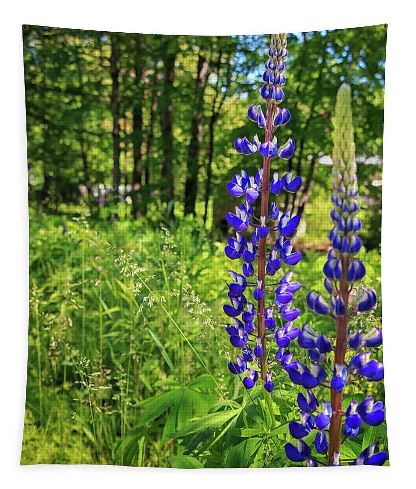Lupines Tapestry featuring the photograph Lupines Lupines by Elizabeth Dow