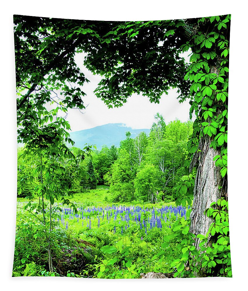 Franconia Notch Tapestry featuring the photograph Lupines Secret by Greg Fortier