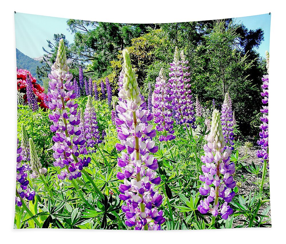 Lupin Tapestry featuring the photograph Lupins by Sandy Taylor