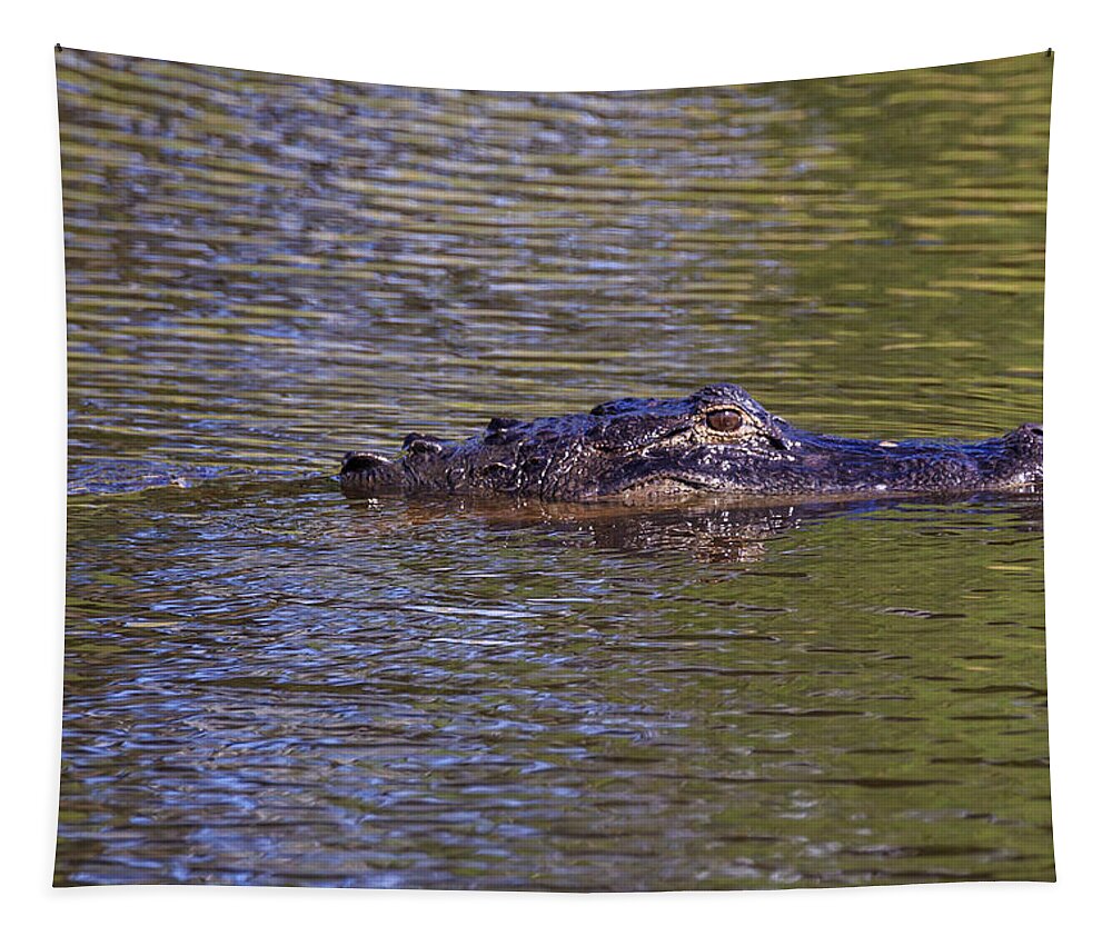 Florida Tapestry featuring the photograph Lurking Alligator by Paul Schultz