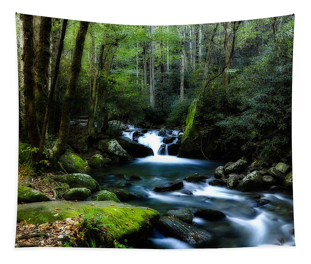 Stream Tapestry featuring the photograph Lush Forest by C Renee Martin
