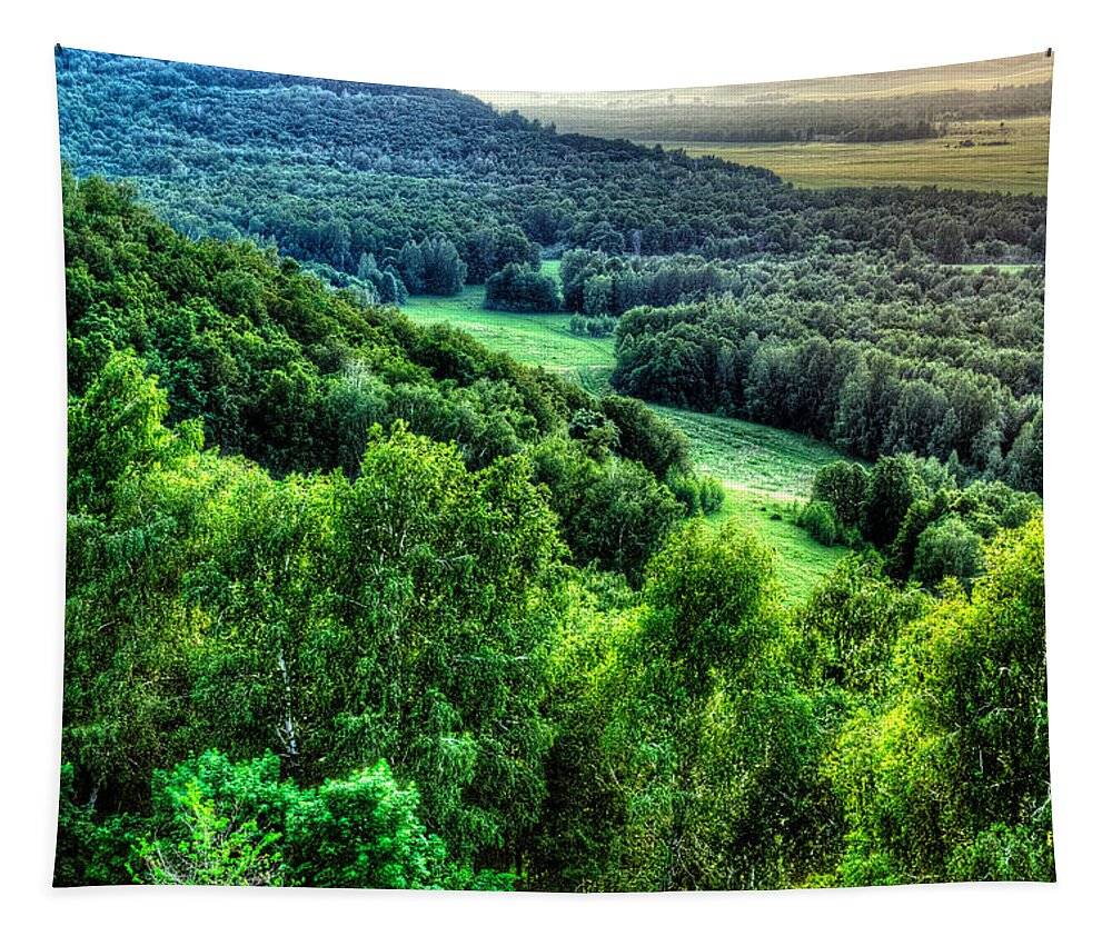 Above Tapestry featuring the photograph Lush Green Forest by John Williams