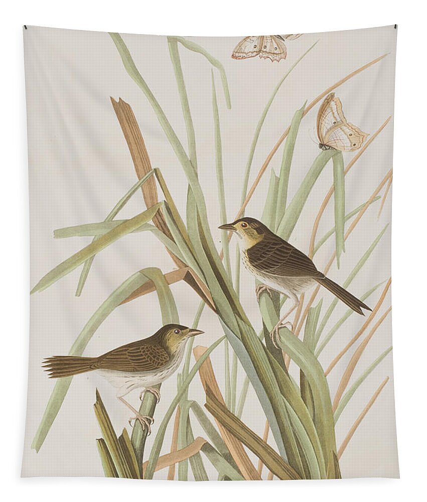 Macgillivray Tapestry featuring the painting MacGillivray's Finch by John James Audubon