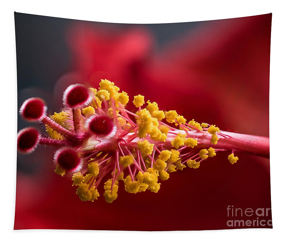 Flower Tapestry featuring the photograph Macro Flower by Marc Champagne