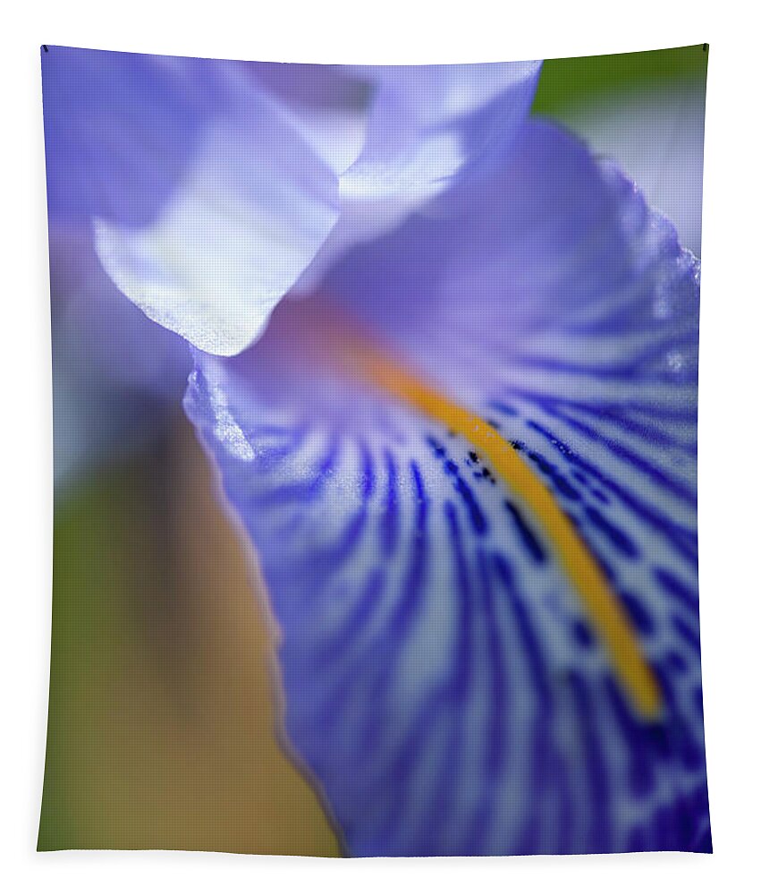 Iris Flower Tapestry featuring the photograph Macro Iris Flower Detail by Heiko Koehrer-Wagner