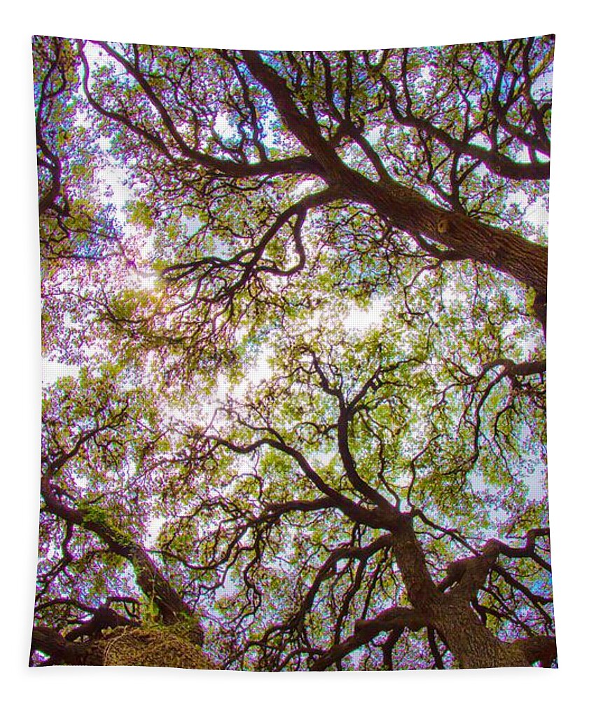 Michael Tidwell Photography Tapestry featuring the photograph Magic Canopy by Michael Tidwell