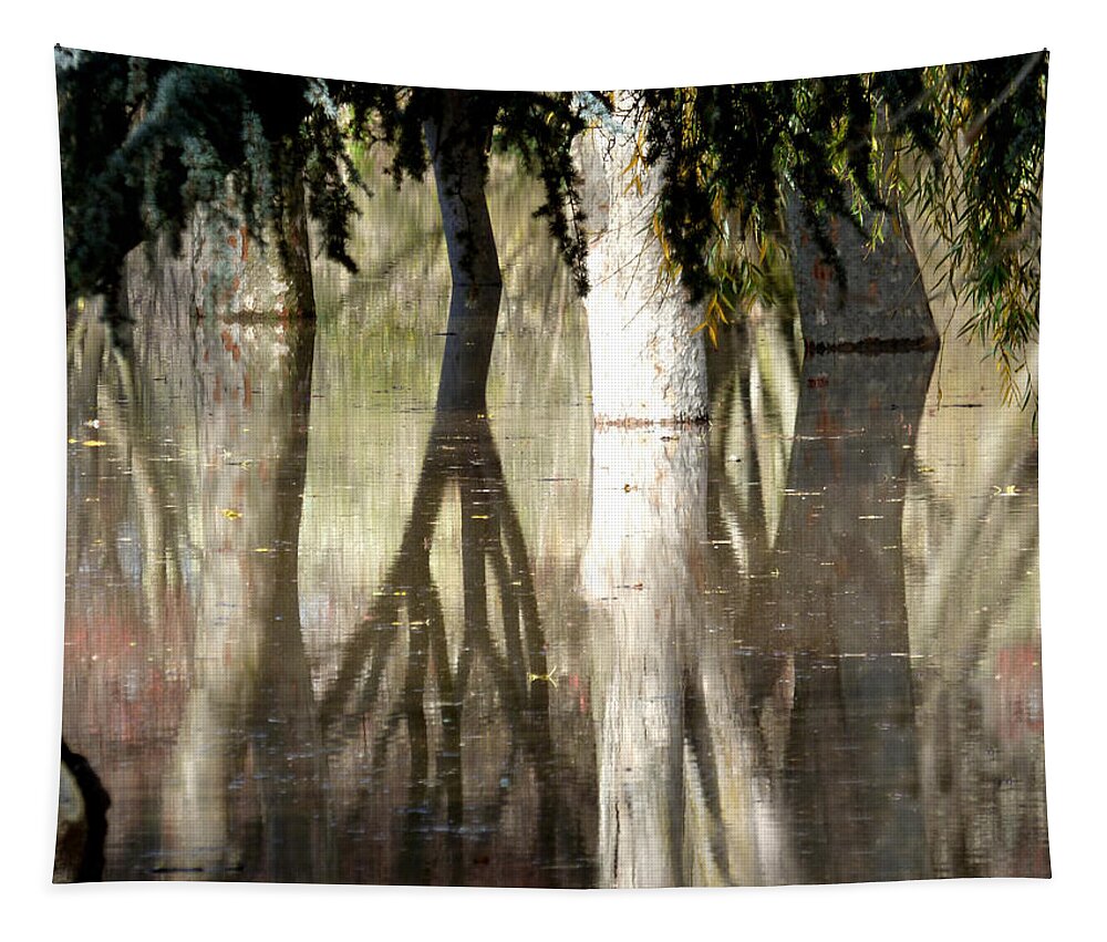Water Tapestry featuring the photograph Magic in the Park by Pamela Patch