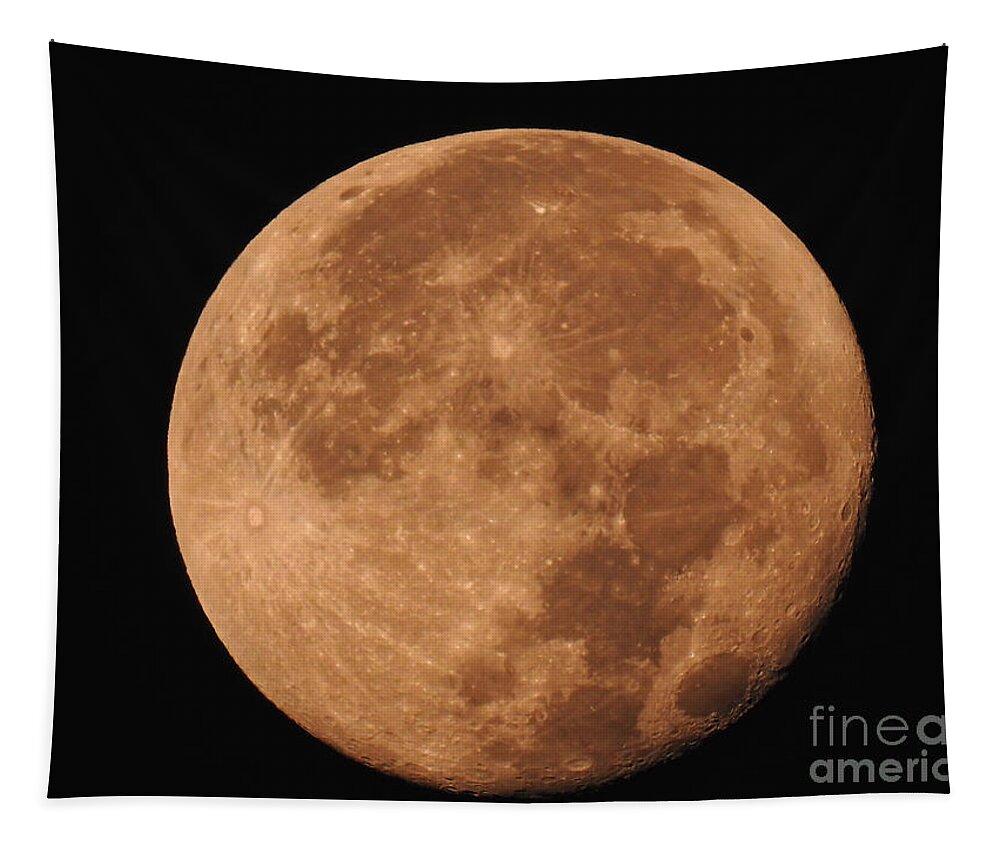 Magnificent Tapestry featuring the photograph Magnificent Harvest Moon by Beth Myer Photography