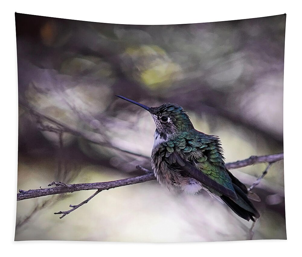 Magnificent Tapestry featuring the photograph Magnificent Hummingbird by Saija Lehtonen