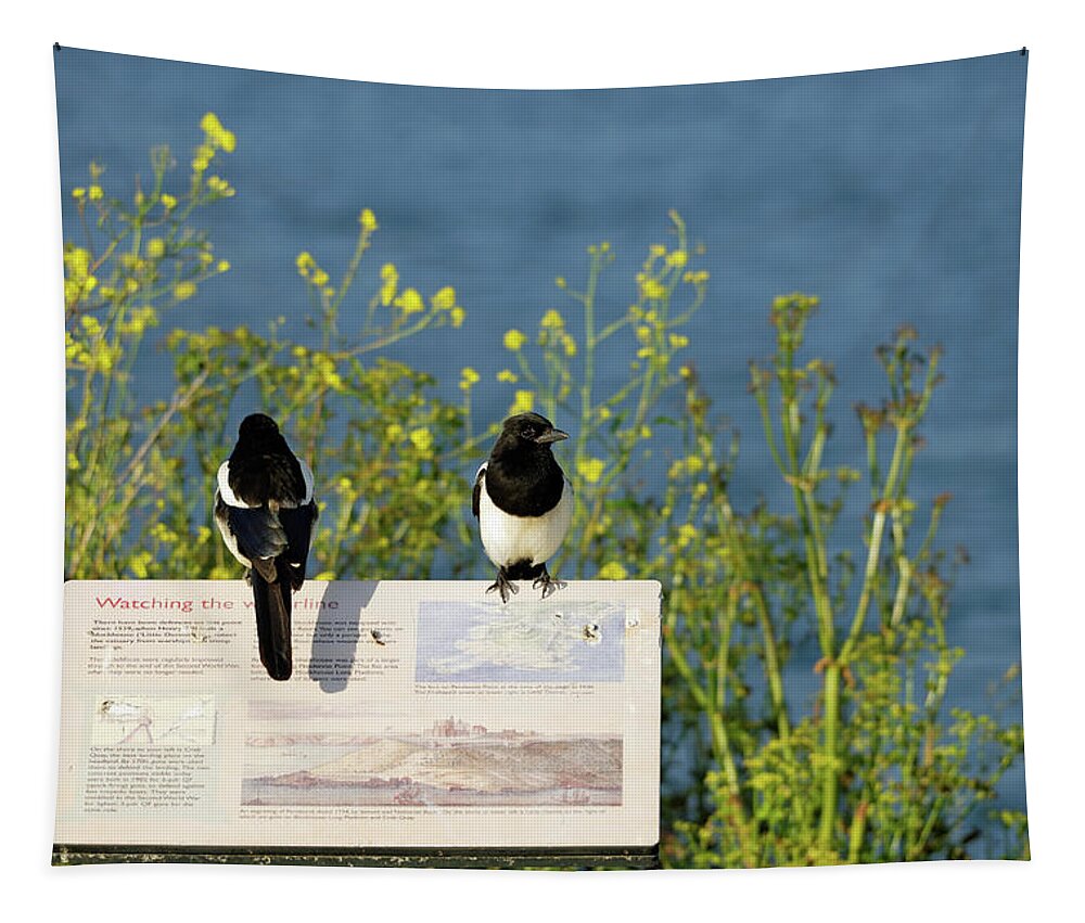 Britain Tapestry featuring the photograph Magpies Keeping Watch - Pendennis Point by Rod Johnson