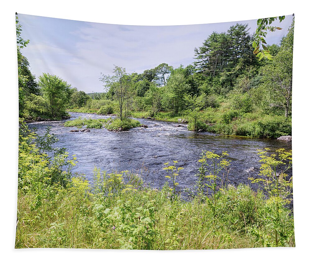 Landscape Tapestry featuring the photograph Maine Beauty by John M Bailey