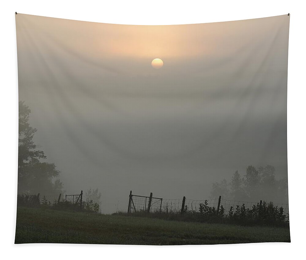 Landscape Tapestry featuring the photograph Maine Morning by Doug Mills