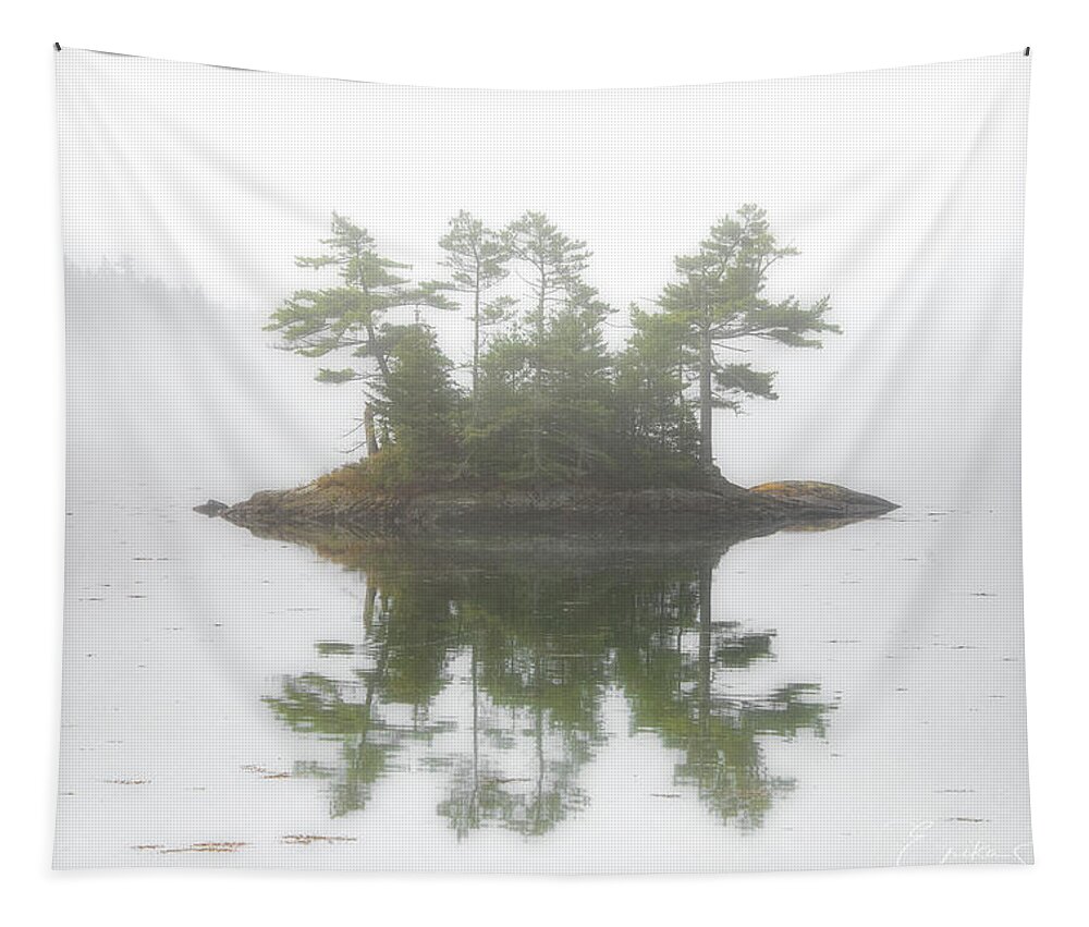 Maine Tapestry featuring the photograph Maine Morning by Erika Fawcett