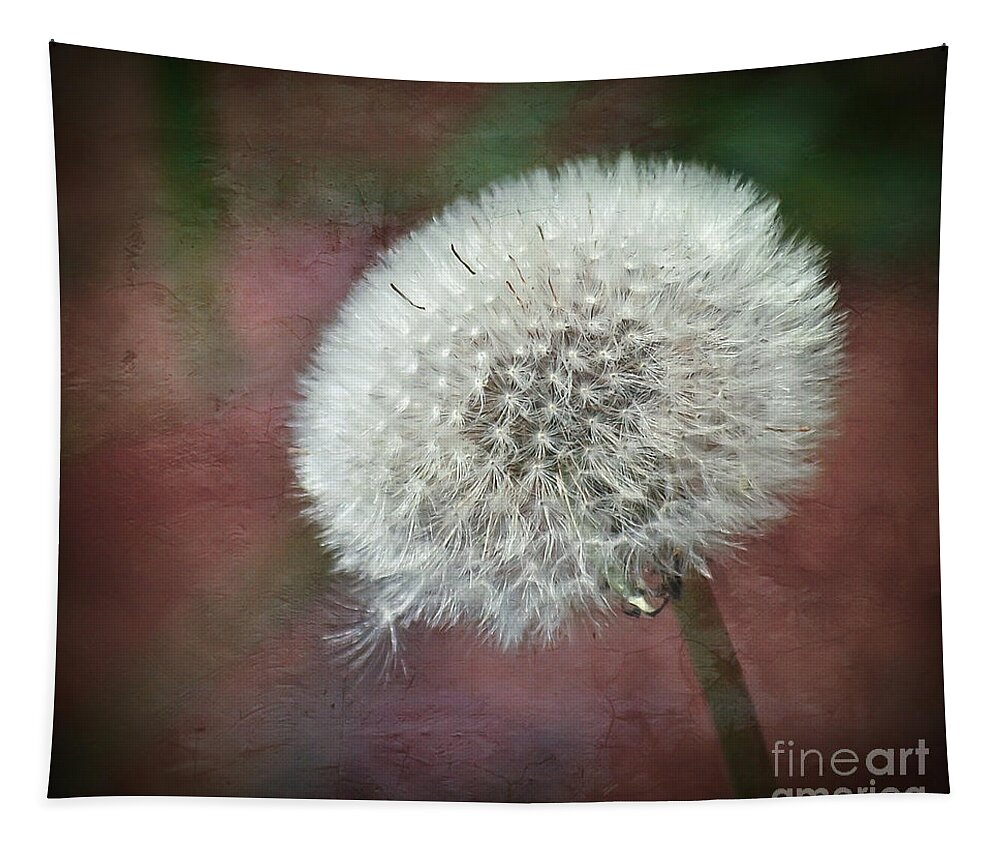 Dandelion Tapestry featuring the photograph Make A Wish by Kerri Farley