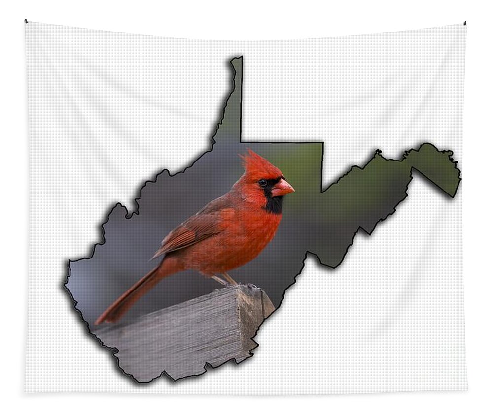 Male; Cardinal; Bird; Red; Posing; Outdoors; Nature Tapestry featuring the photograph Male cardinal perch by Dan Friend