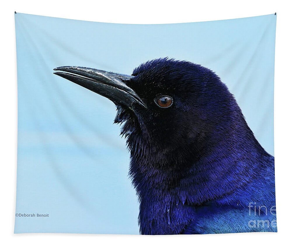 Bird Tapestry featuring the photograph Male Grackle Beauty by Deborah Benoit