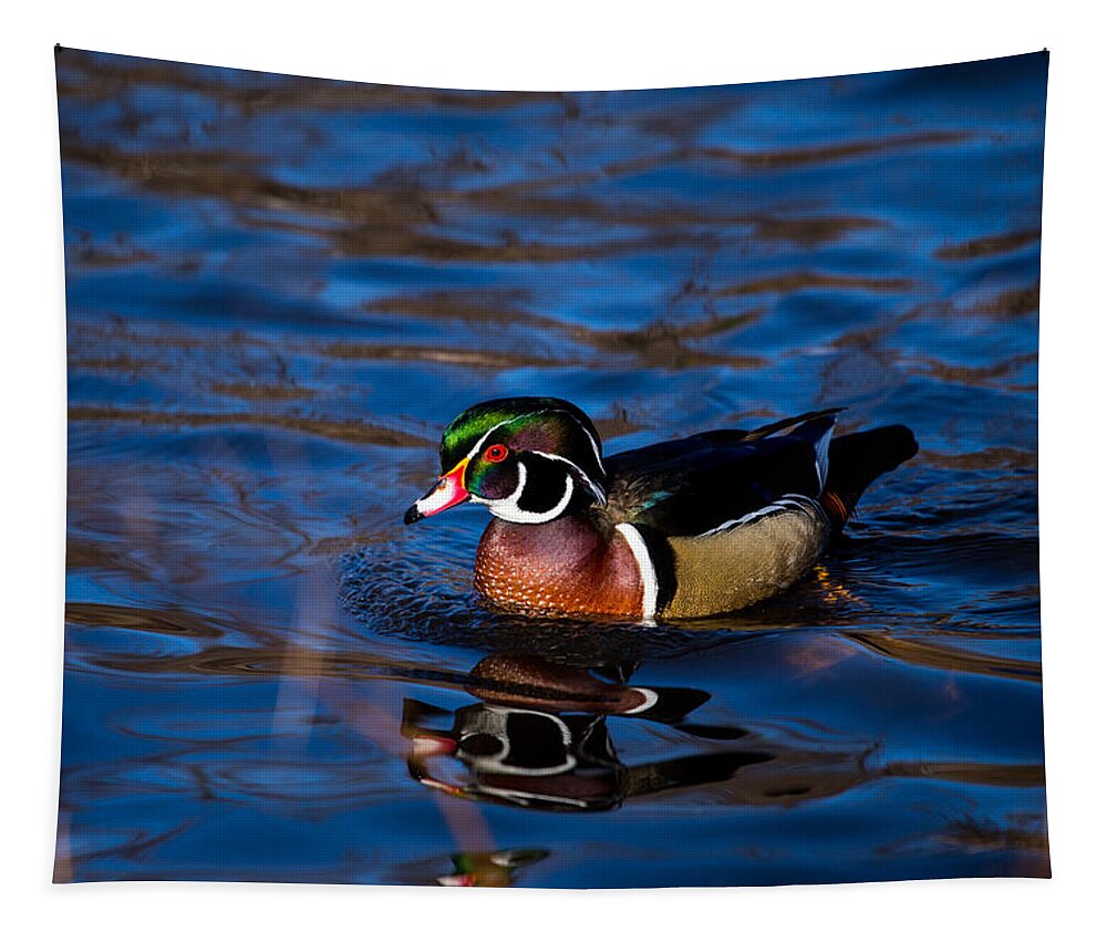 Wood Duck Tapestry featuring the photograph Male Wood Duck by Karol Livote