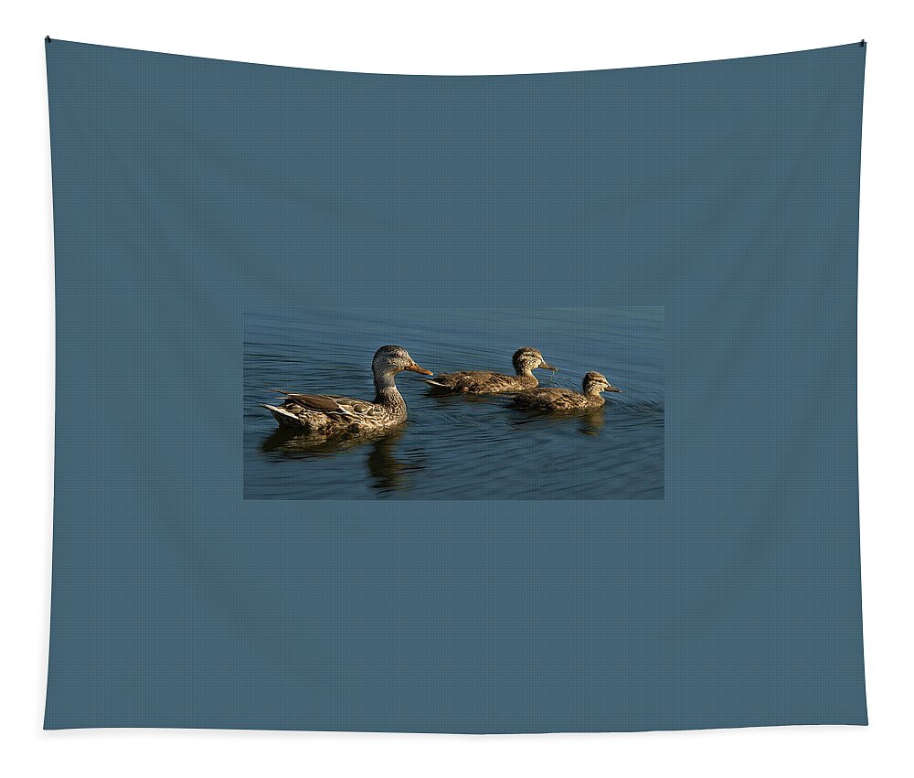 Jean Noren Tapestry featuring the photograph Mallard Family Outing by Jean Noren