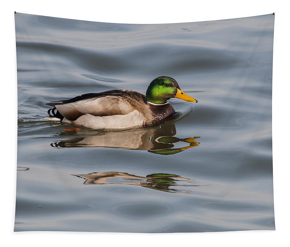 Water Tapestry featuring the photograph Mallards and Reflection by Robert Potts