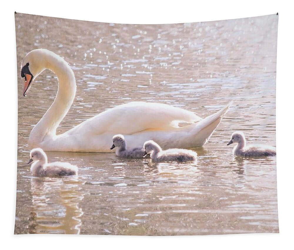 Swan Family Tapestry featuring the photograph Mama Swan and Her Babies - Mute Swan by Mary Ann Artz