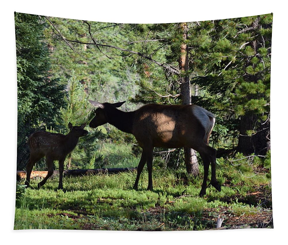 Animal Tapestry featuring the photograph Elk Calf - Mother RMNP CO by Margarethe Binkley