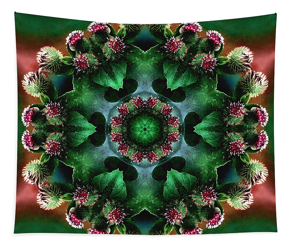 Plants Tapestry featuring the photograph Mandala Bull Thistle by Nancy Griswold