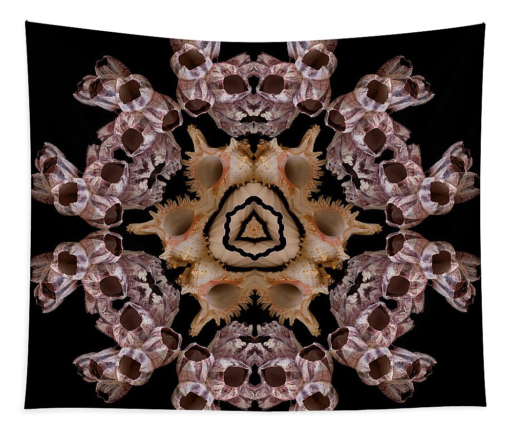 Shells Tapestry featuring the photograph Mandala Murex and Barnacle by Nancy Griswold