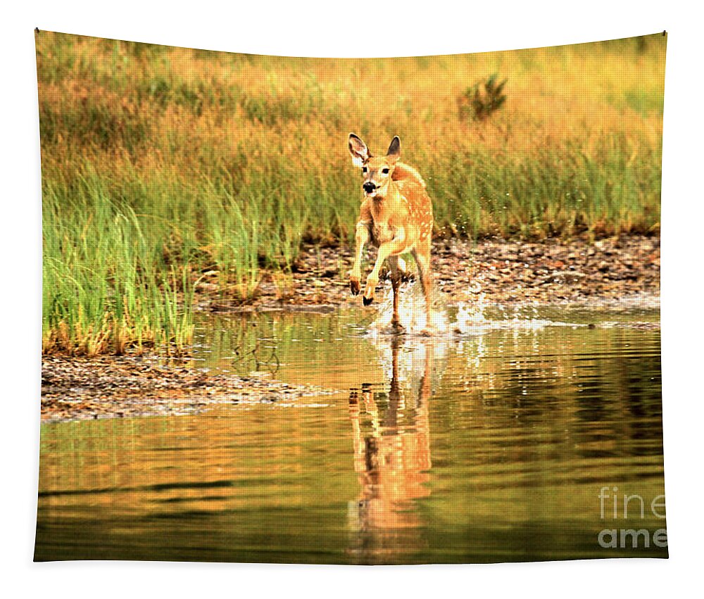 Deer Tapestry featuring the photograph Junior Dashing Through The Water by Adam Jewell