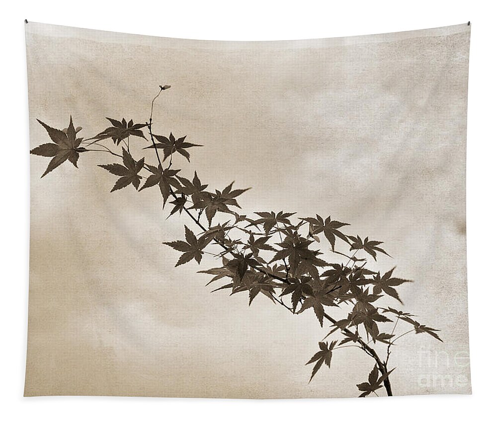 Branch Tapestry featuring the photograph Maple by Linda Lees