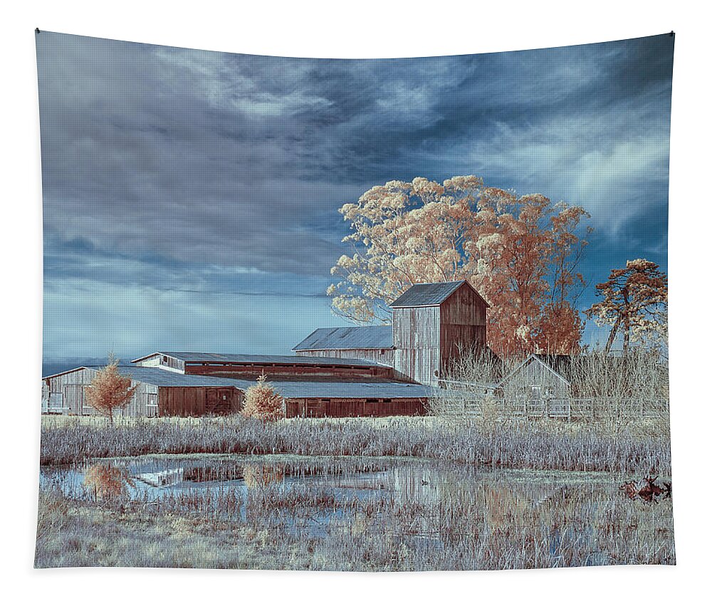 Greg Nyquist Tapestry featuring the photograph Marsh and Barn in Infrared 1 by Greg Nyquist