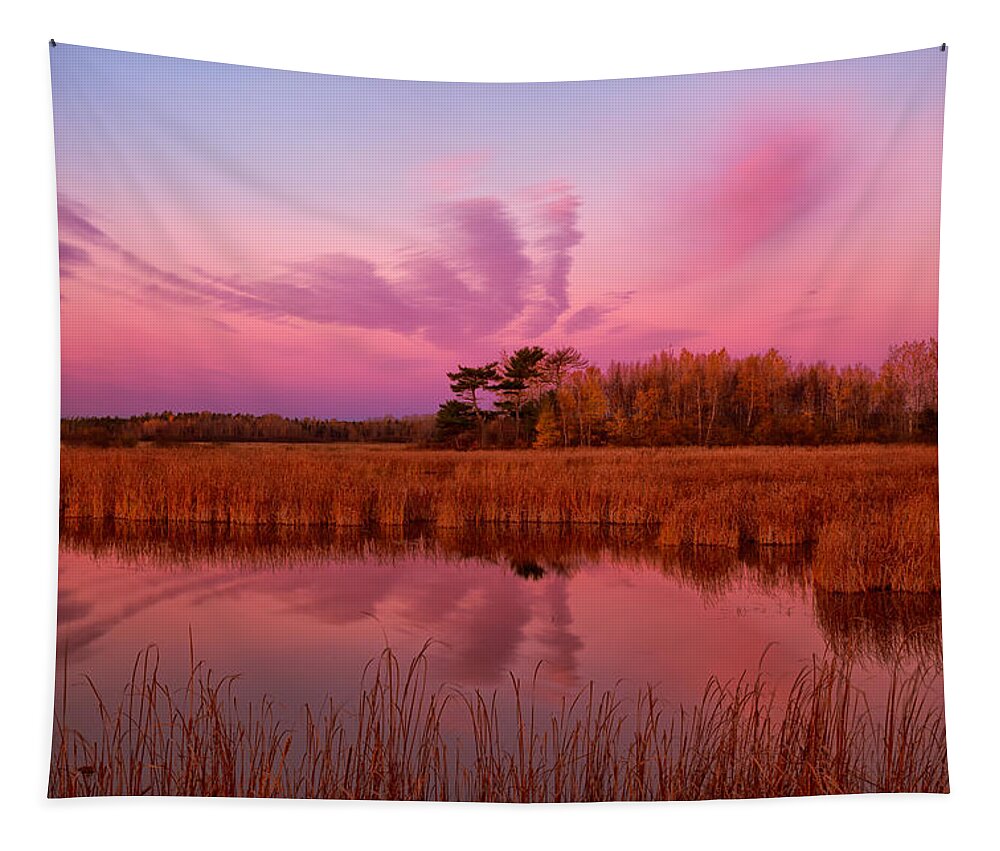 Maccan River Wildlife Management Area Tapestry featuring the photograph Marsh At Dawn by Irwin Barrett