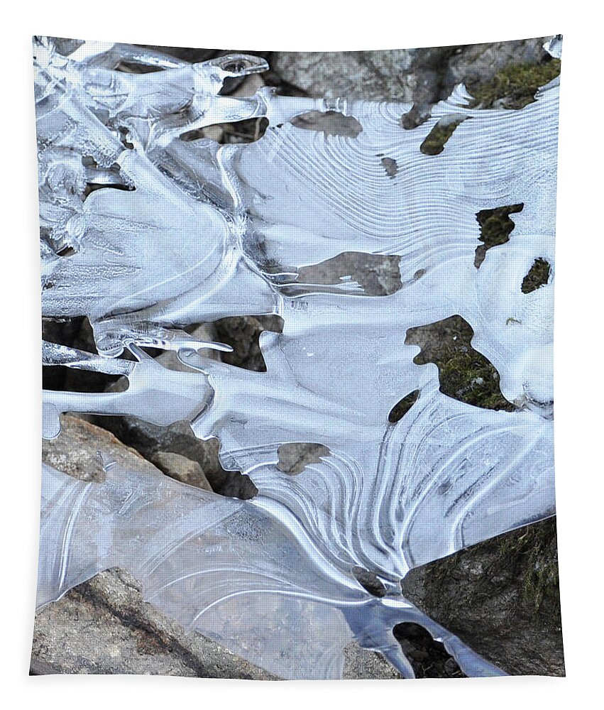 Ice Tapestry featuring the photograph Ice Mask Abstract by Glenn Gordon