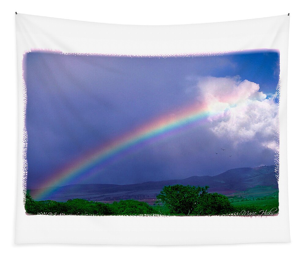 Rainbow Tapestry featuring the photograph Maui Rainbow by Marie Hicks