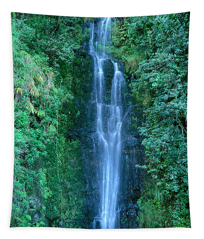 Active Tapestry featuring the photograph Maui Waterfall by Bill Brennan - Printscapes