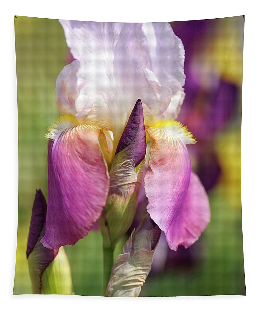 Jenny Rainbow Fine Art Photography Tapestry featuring the photograph Maytime. The Beauty of Irises by Jenny Rainbow