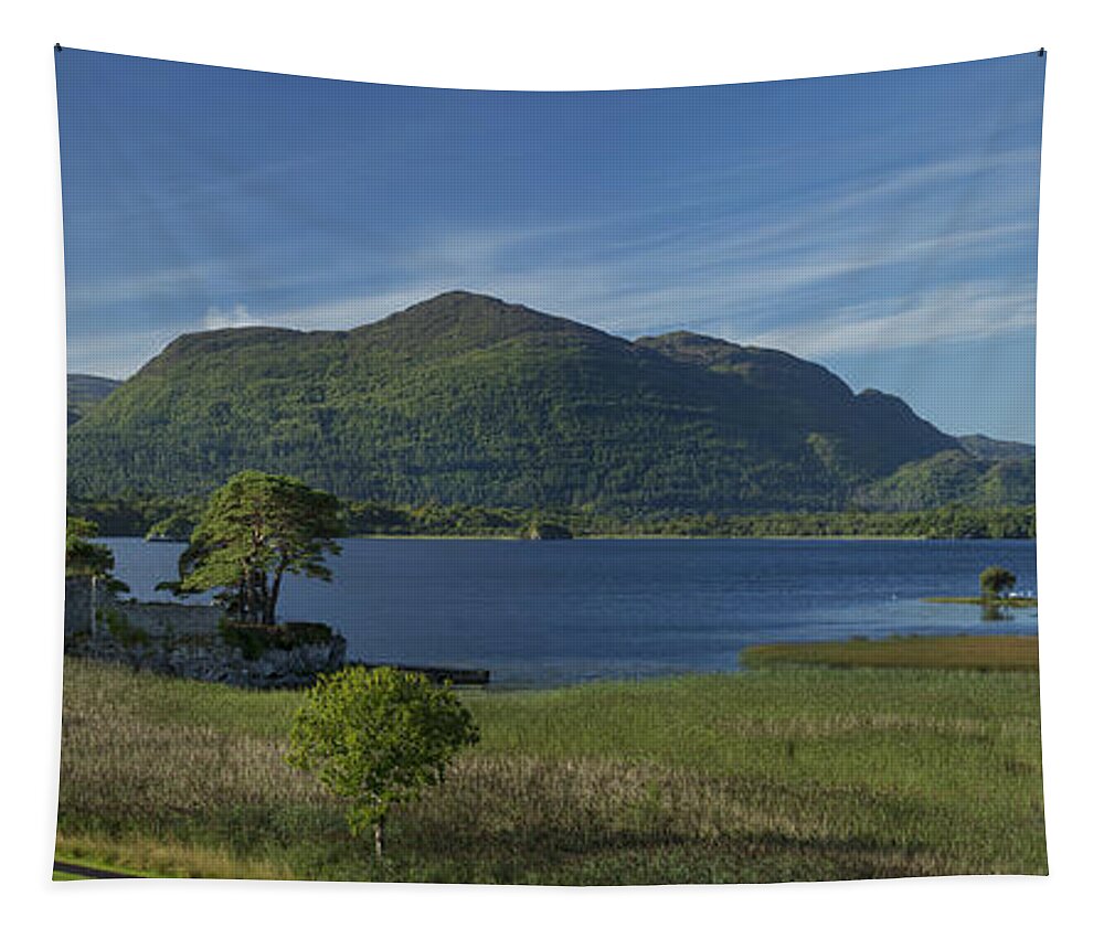 Ireland Tapestry featuring the photograph McCarthy Mor Castle on Lough Leane by Brian Jannsen