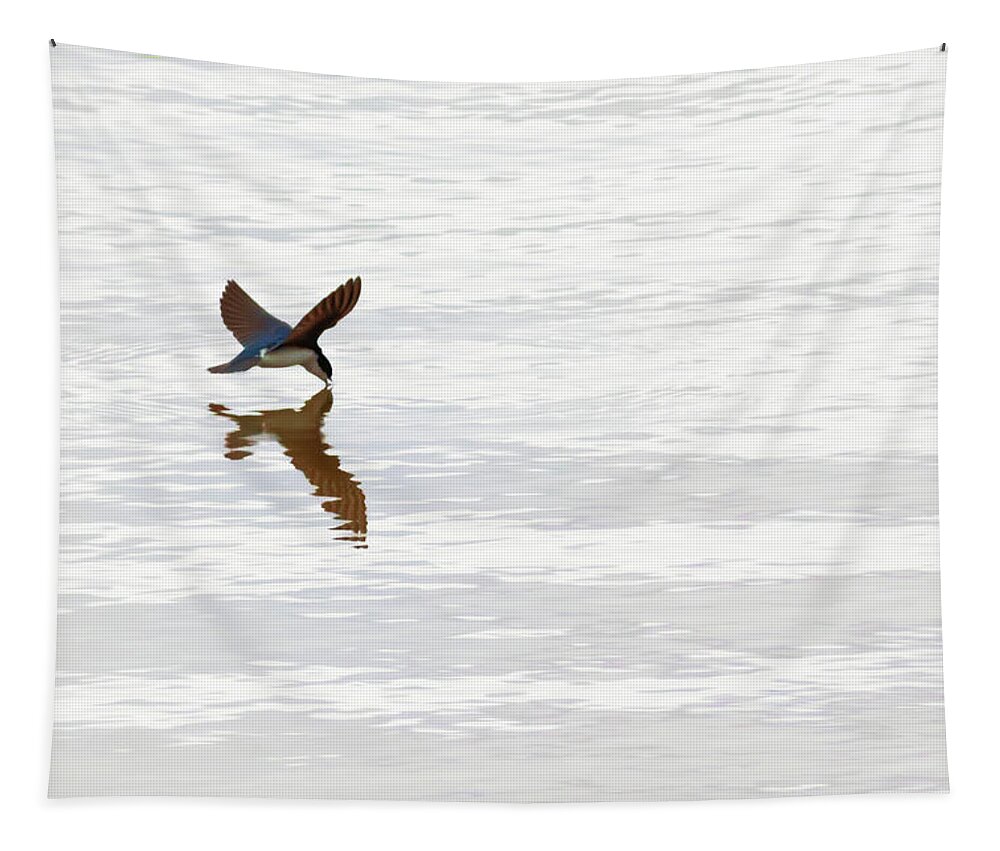 Tree Swallow Tapestry featuring the photograph Me and My Shadow by Susan Rissi Tregoning