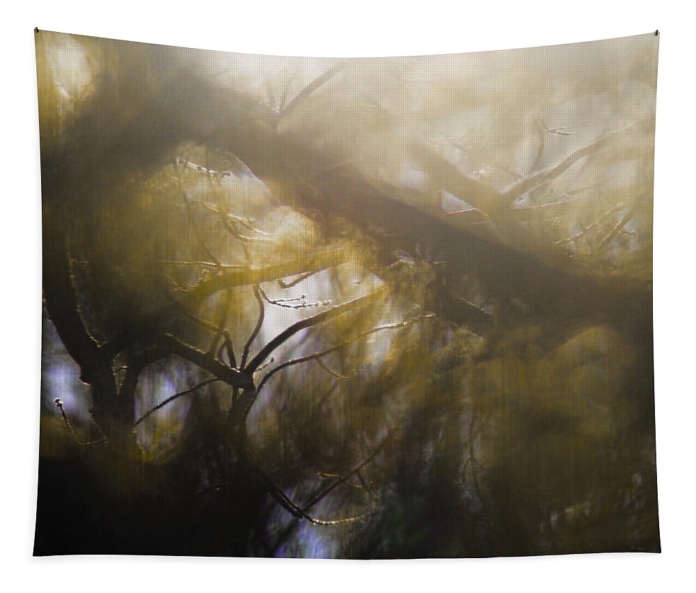 Mist Tapestry featuring the photograph Me Fuddled by Linda McRae