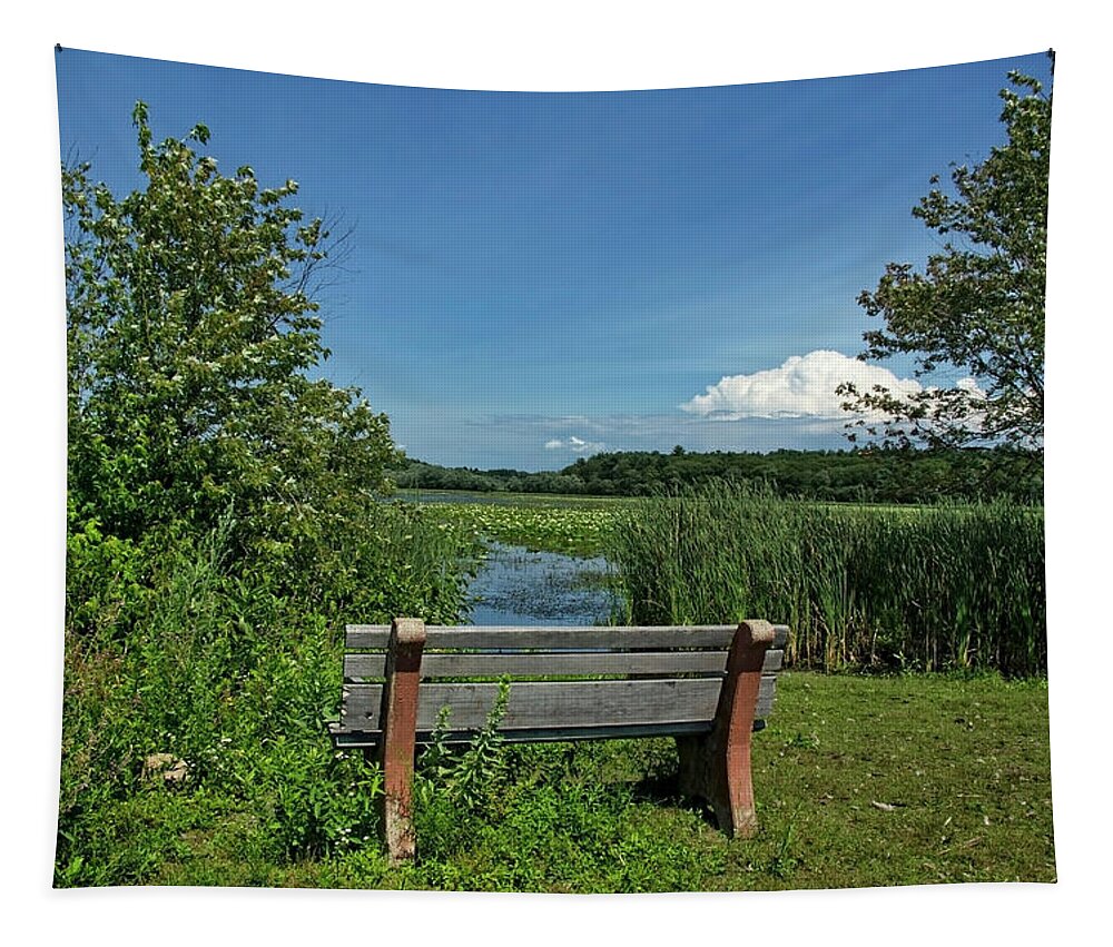 Landscape Tapestry featuring the photograph Meadow Bench by Donna Doherty