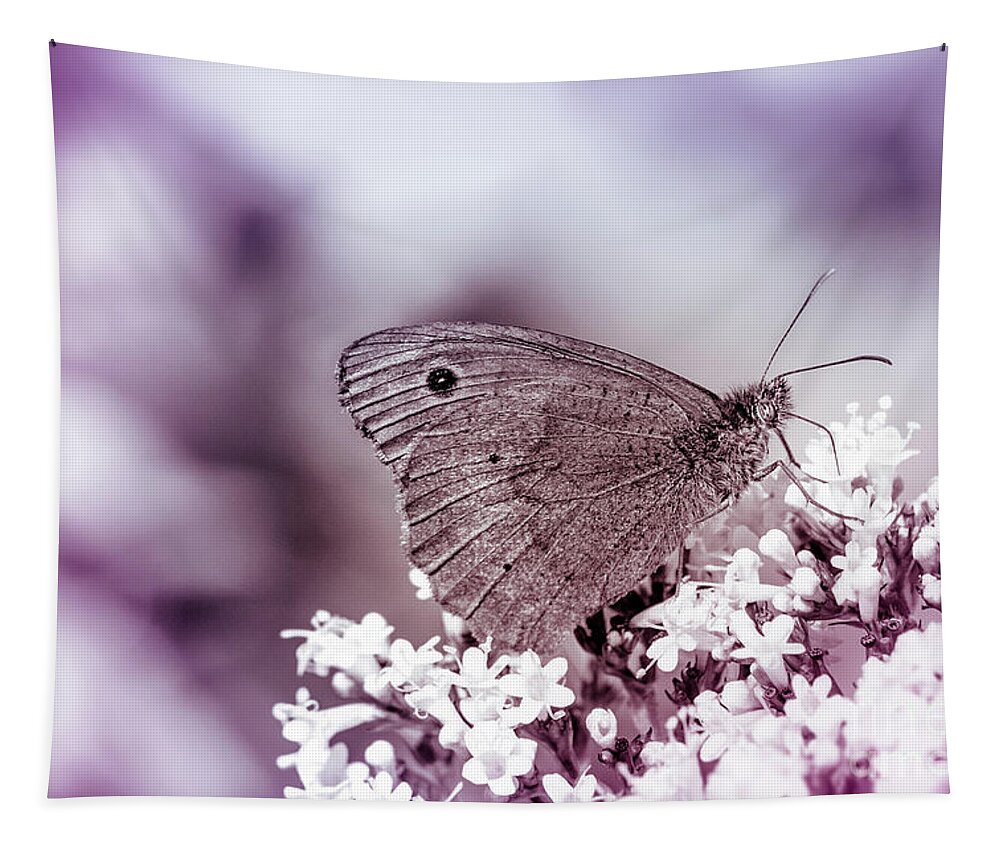 Plants Tapestry featuring the photograph Meadow brown, Maniola jurtina by Amanda Mohler