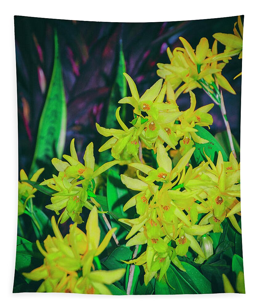 Flower Tapestry featuring the photograph Meadow Gold by Bill Cannon
