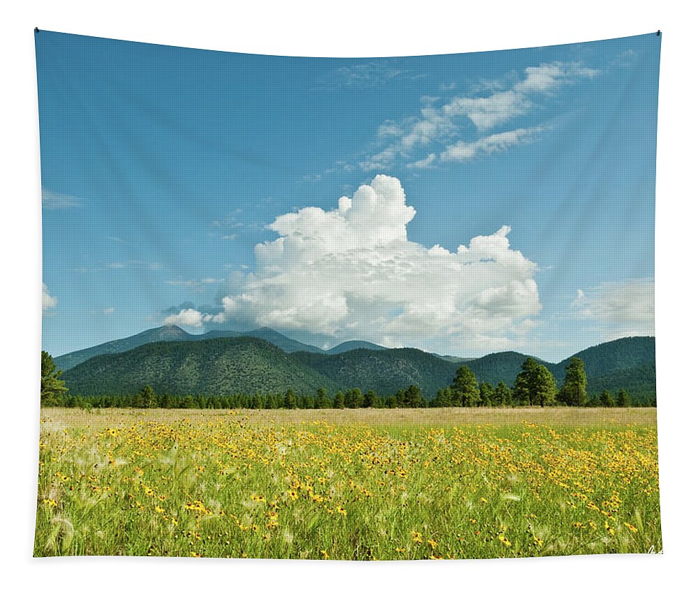 Arizona Tapestry featuring the photograph Meadow of Sunflowers and the San Francisco Peaks by Jeff Goulden