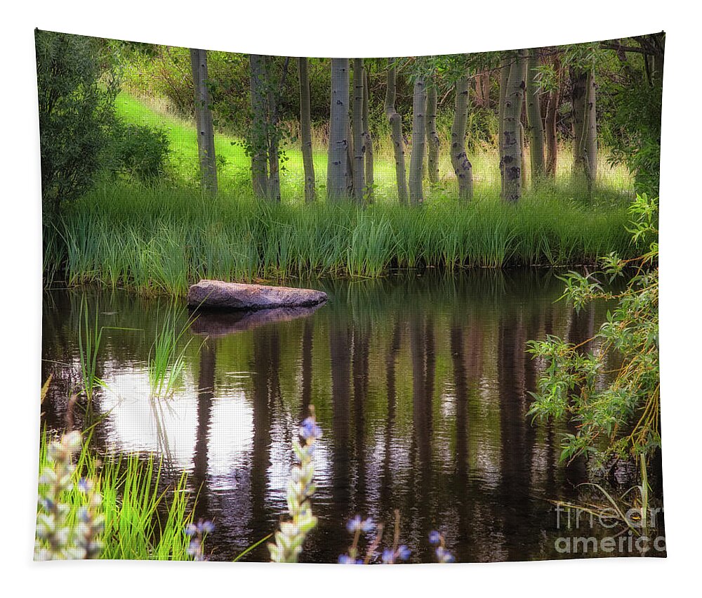 Meadow Tapestry featuring the photograph Meadow Pond by Anthony Michael Bonafede